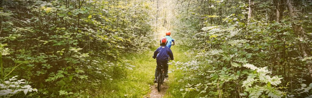 Bømoen - kvifor eit av samarbeida nesten havarerte